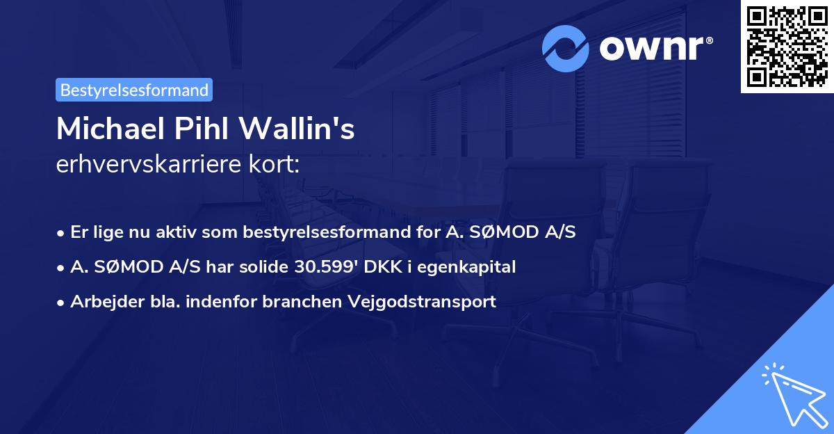 Michael Pihl Wallin's erhvervskarriere kort