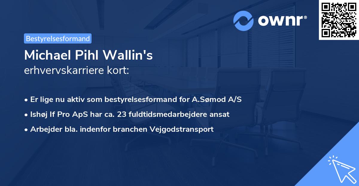 Michael Pihl Wallin's erhvervskarriere kort