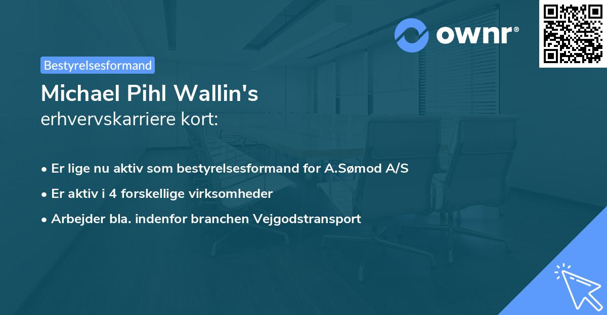 Michael Pihl Wallin's erhvervskarriere kort
