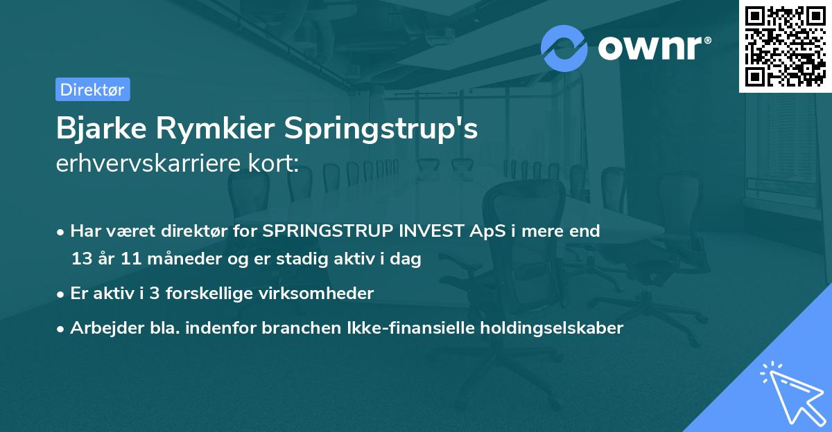Bjarke Rymkier Springstrup's erhvervskarriere kort