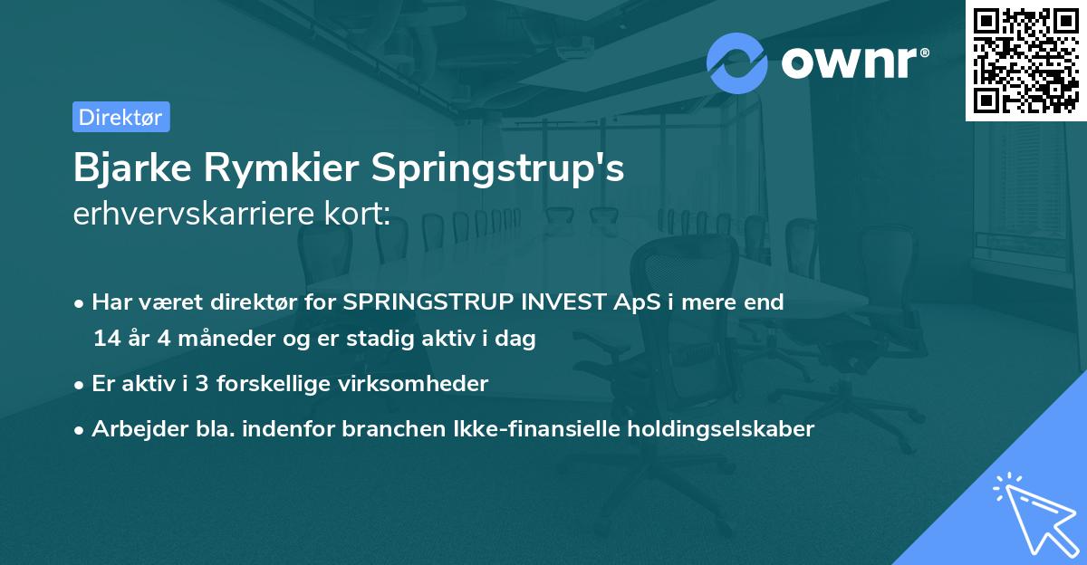 Bjarke Rymkier Springstrup's erhvervskarriere kort