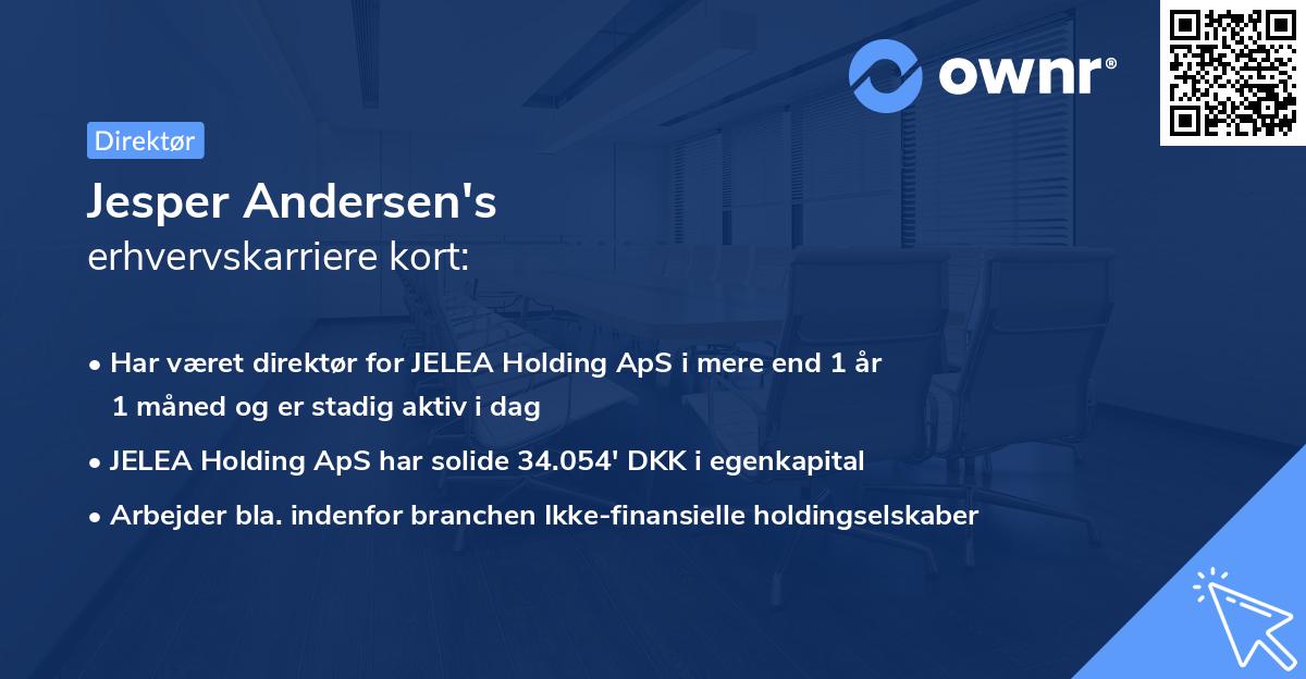 Jesper Andersen's erhvervskarriere kort