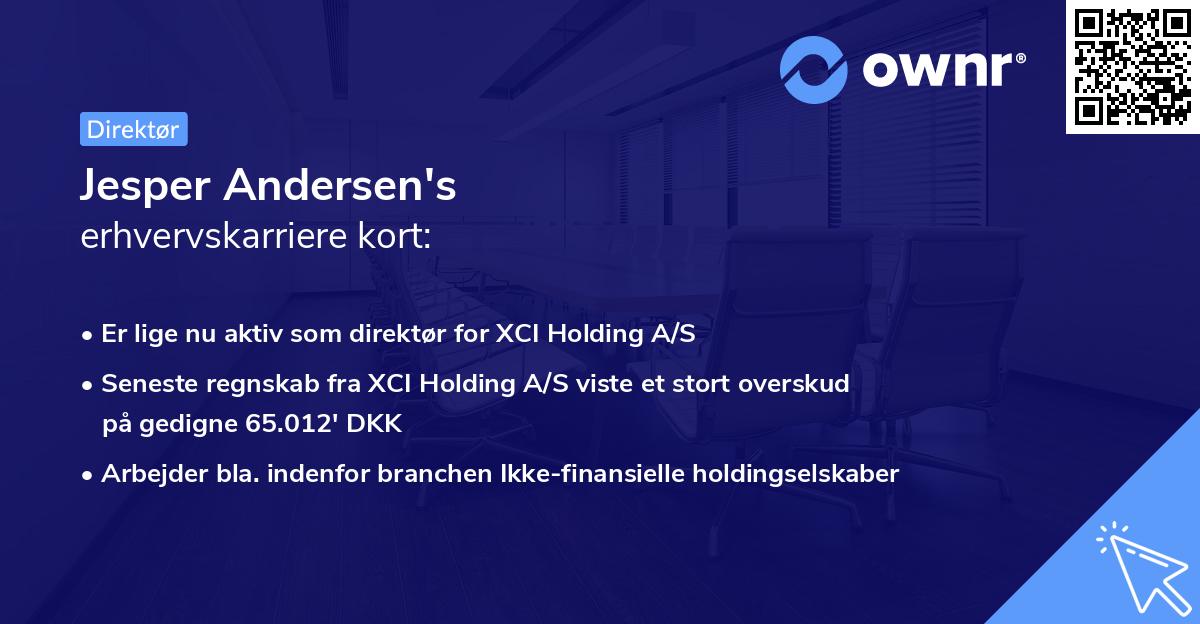 Jesper Andersen's erhvervskarriere kort