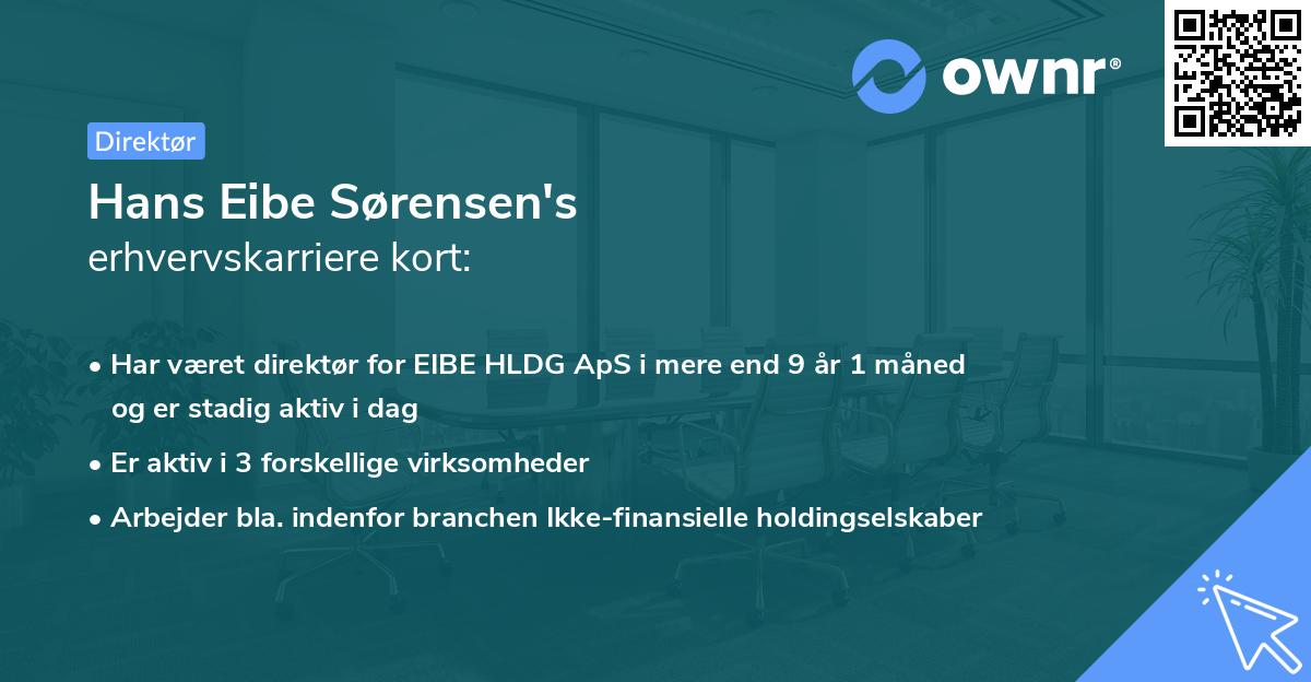 Hans Eibe Sørensen's erhvervskarriere kort