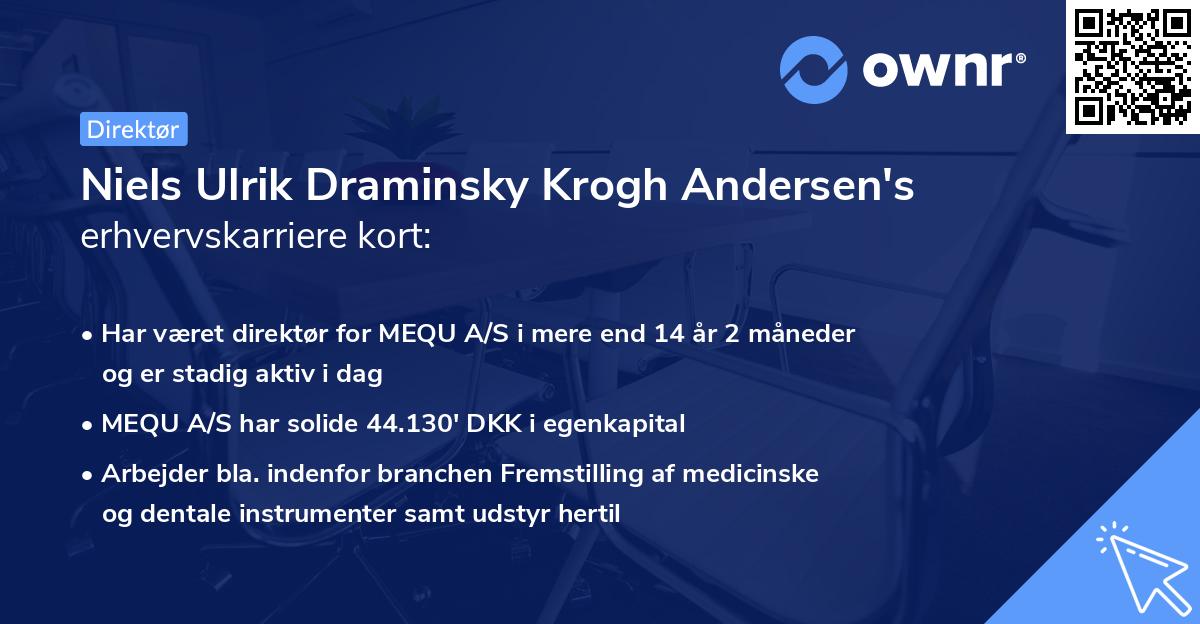 Niels Ulrik Draminsky Krogh Andersen's erhvervskarriere kort