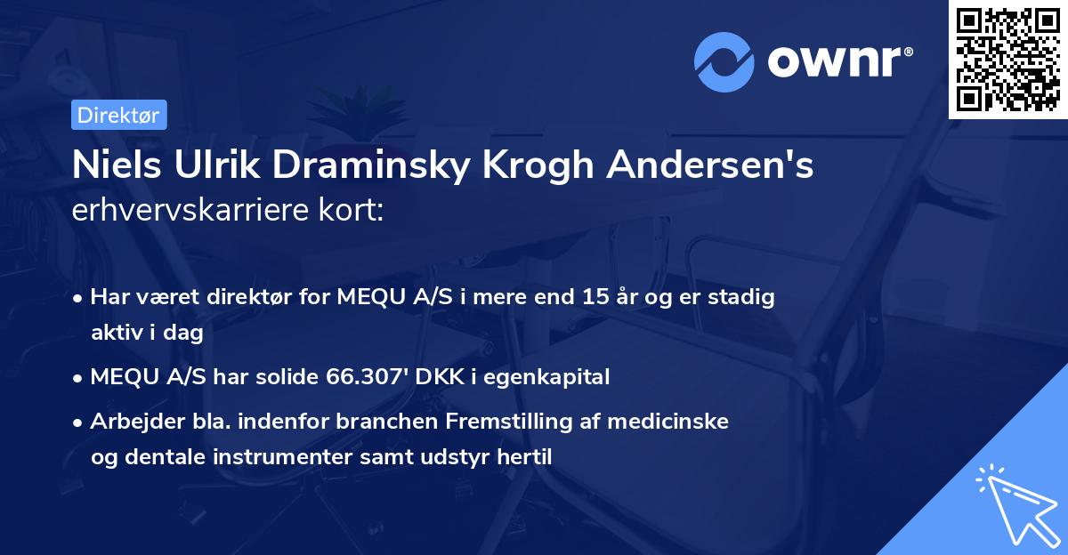 Niels Ulrik Draminsky Krogh Andersen's erhvervskarriere kort