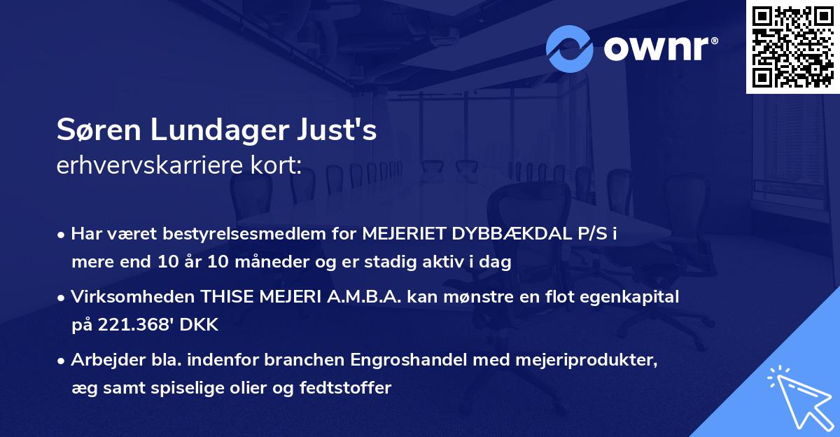Søren Lundager Just's erhvervskarriere kort