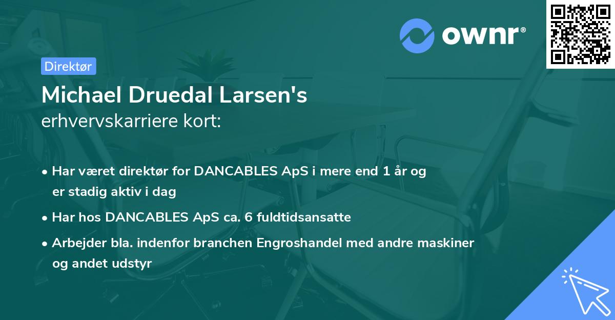 Michael Druedal Larsen's erhvervskarriere kort