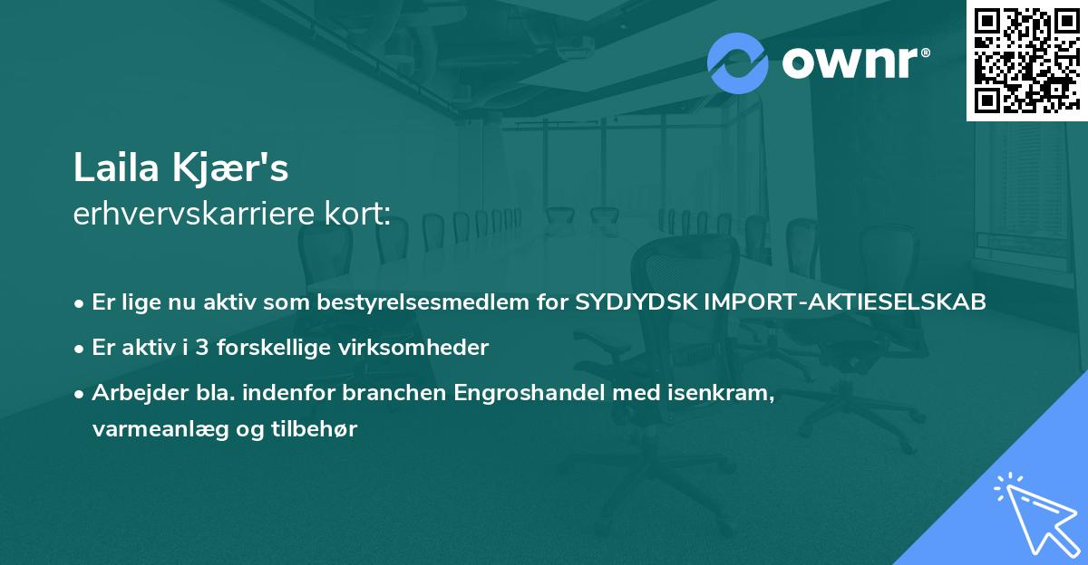 Laila Kjær's erhvervskarriere kort