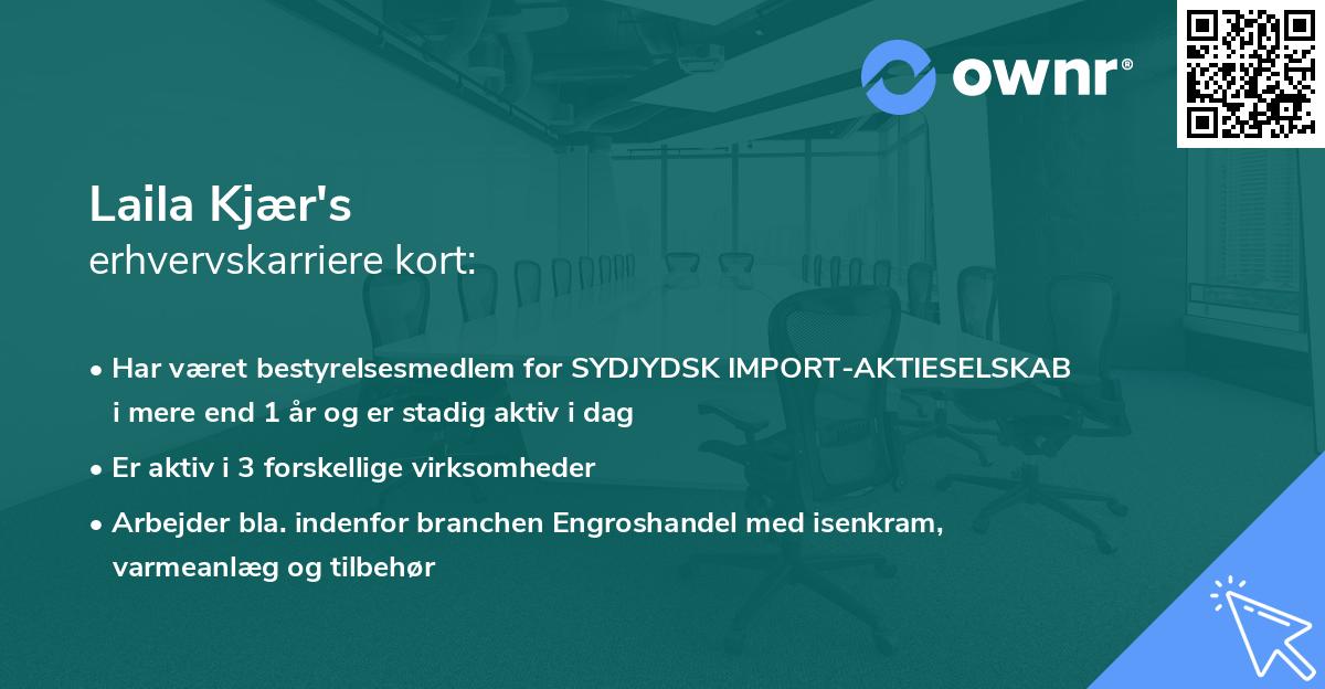 Laila Kjær's erhvervskarriere kort