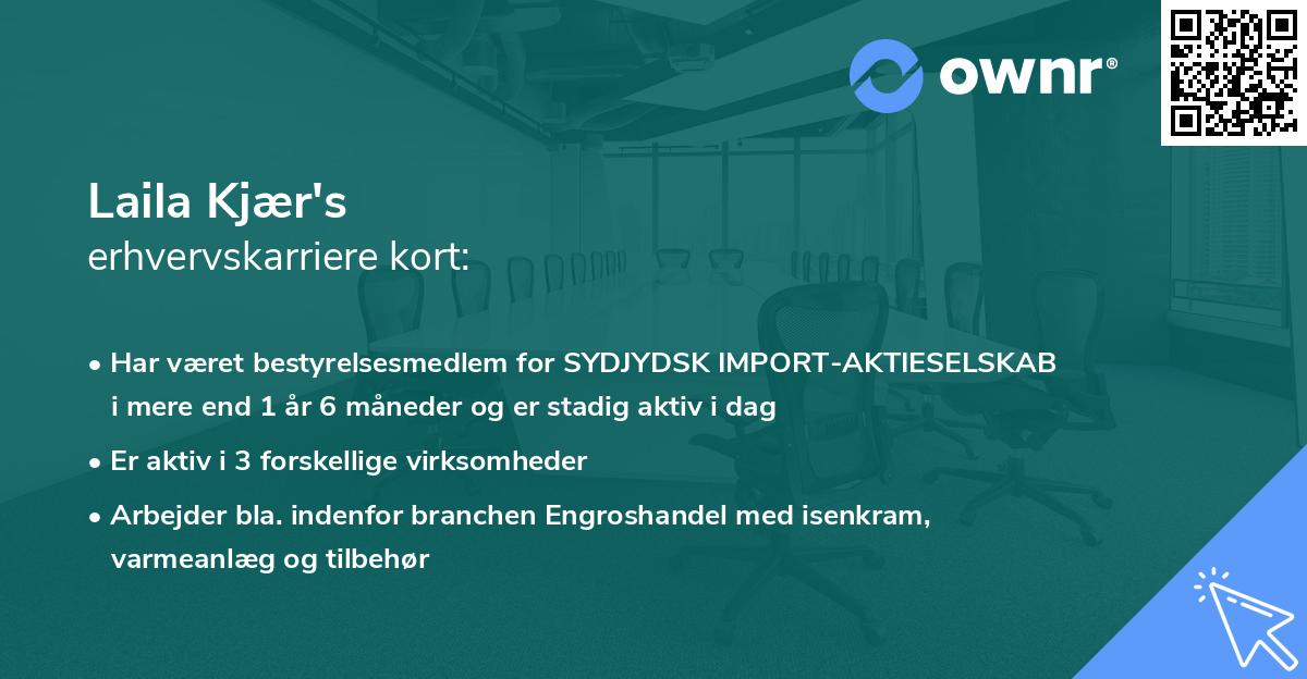 Laila Kjær's erhvervskarriere kort