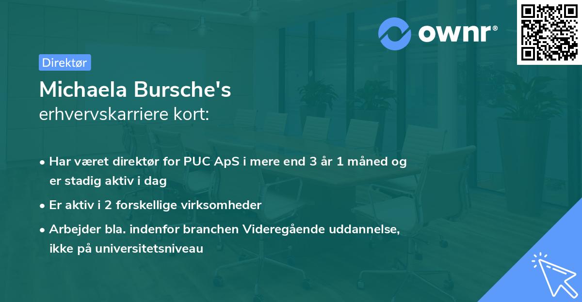 Michaela Bursche's erhvervskarriere kort