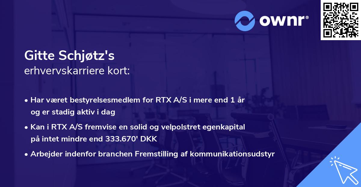 Gitte Schjøtz's erhvervskarriere kort