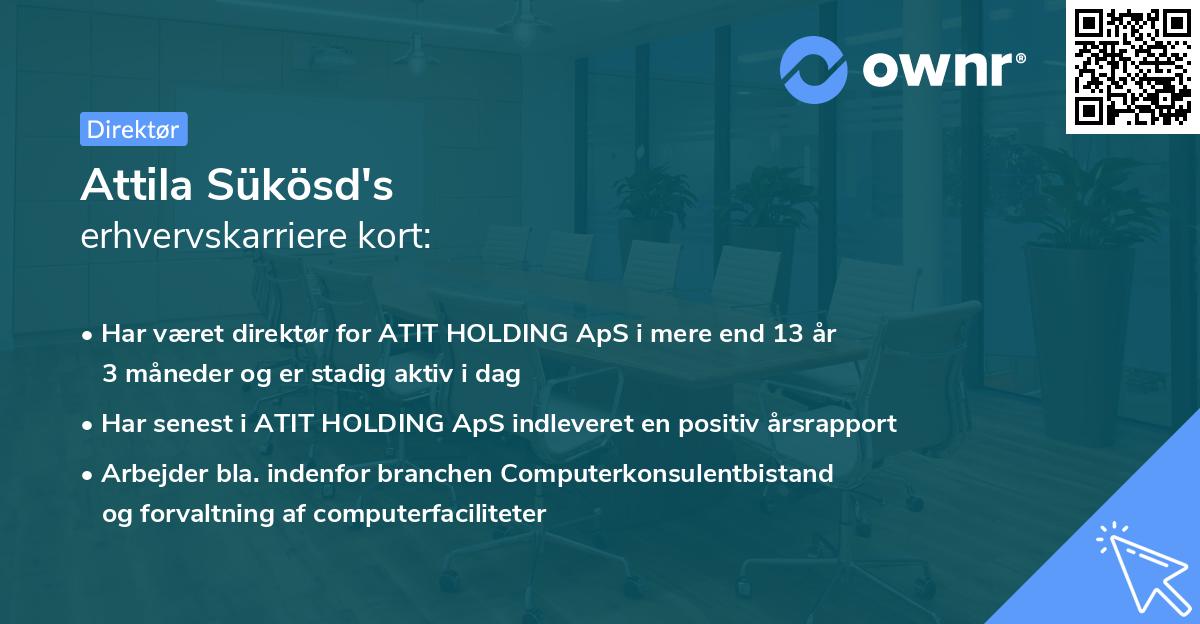 Attila Sükösd's erhvervskarriere kort