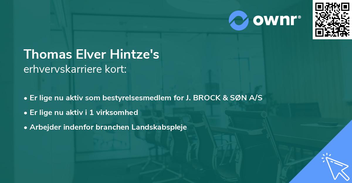 Thomas Elver Hintze's erhvervskarriere kort
