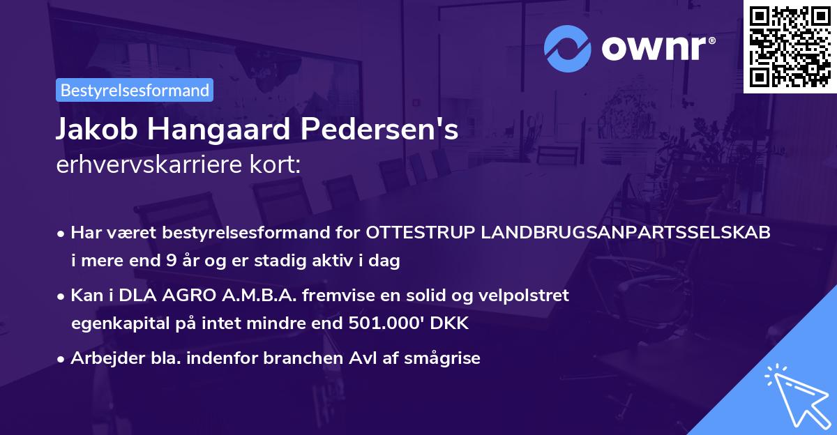 Jakob Hangaard Pedersen's erhvervskarriere kort