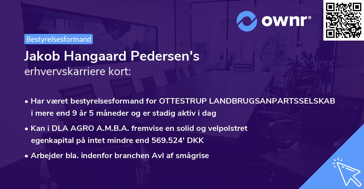 Jakob Hangaard Pedersen's erhvervskarriere kort