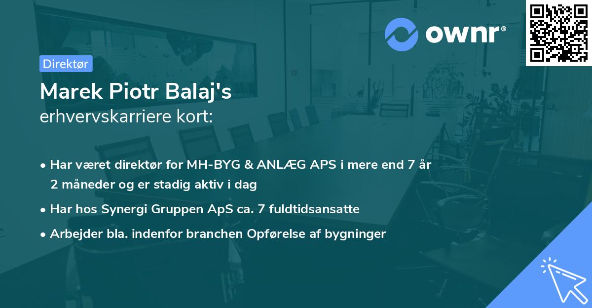 Marek Piotr Balaj's erhvervskarriere kort