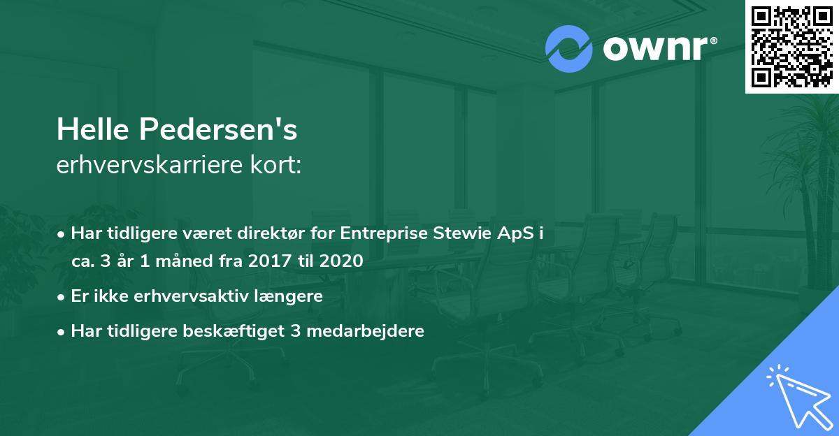 Helle Pedersen's erhvervskarriere kort