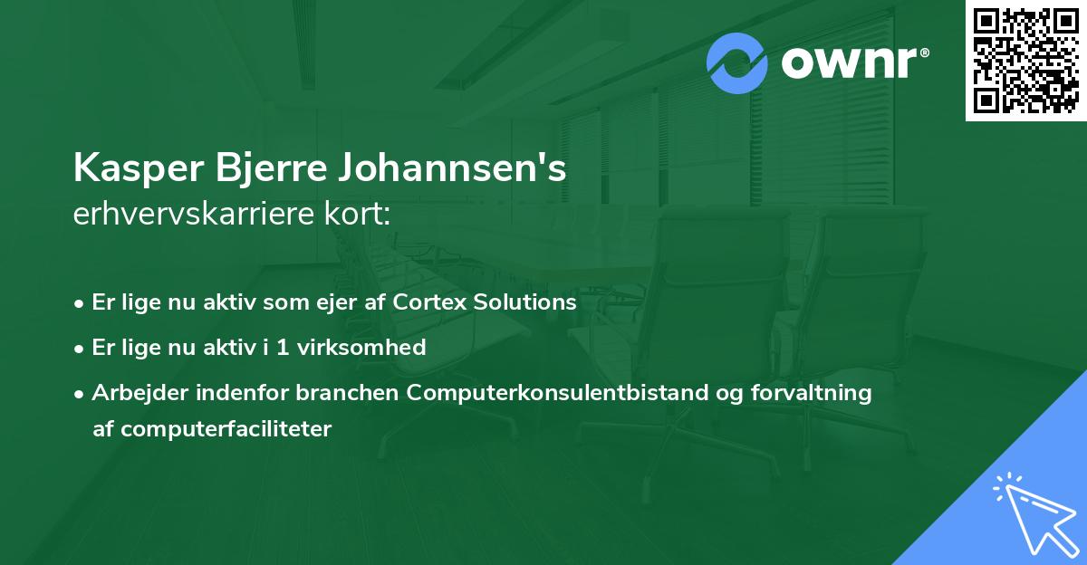 Kasper Bjerre Johannsen's erhvervskarriere kort