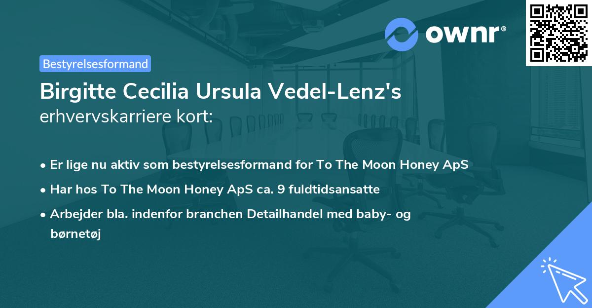 Birgitte Cecilia Ursula Vedel-Lenz's erhvervskarriere kort