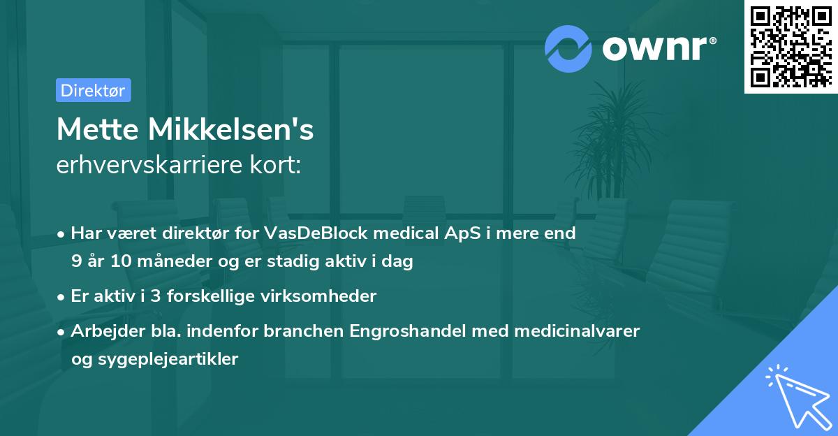 Mette Mikkelsen's erhvervskarriere kort