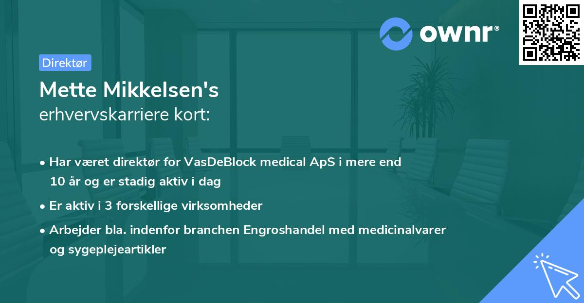 Mette Mikkelsen's erhvervskarriere kort