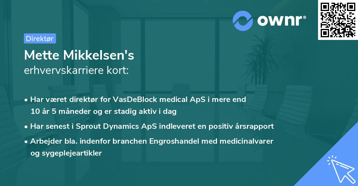 Mette Mikkelsen's erhvervskarriere kort