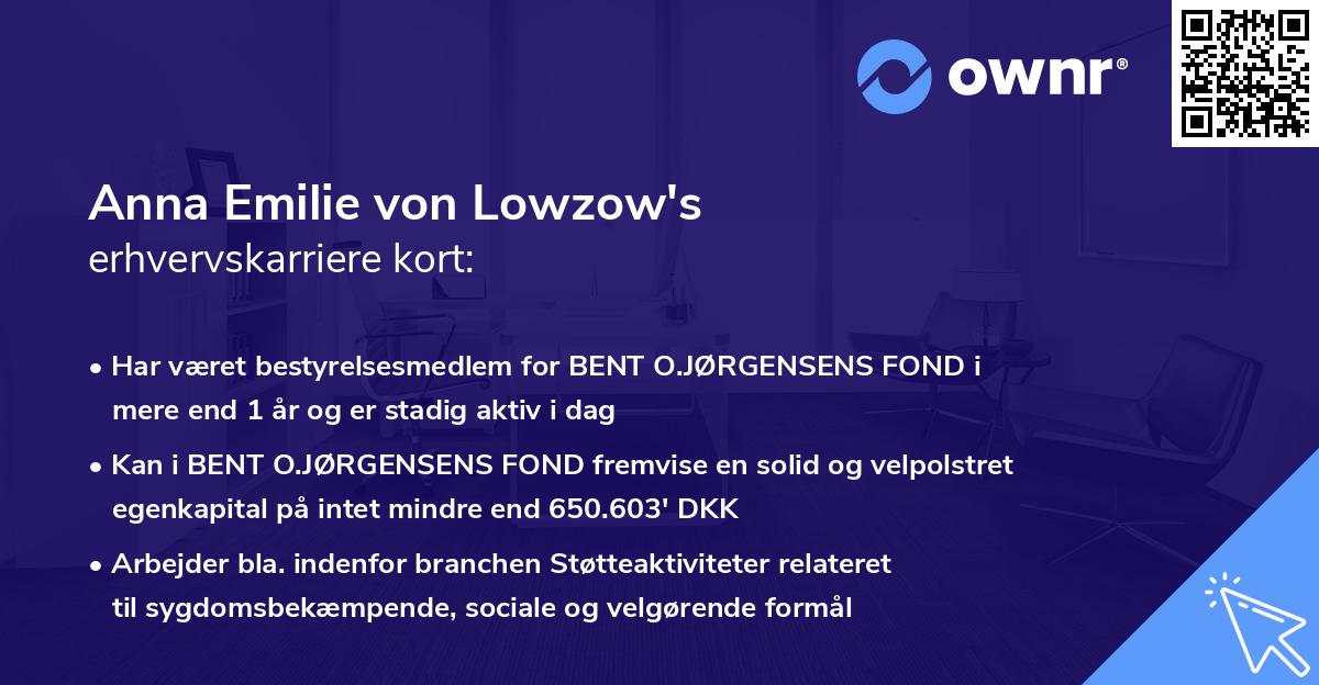 Anna Emilie von Lowzow's erhvervskarriere kort