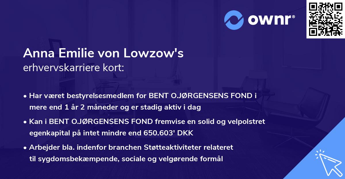 Anna Emilie von Lowzow's erhvervskarriere kort