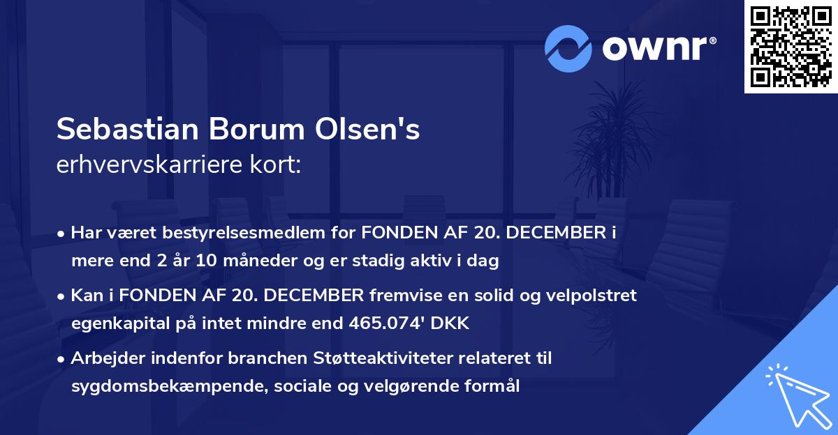 Sebastian Borum Olsen's erhvervskarriere kort