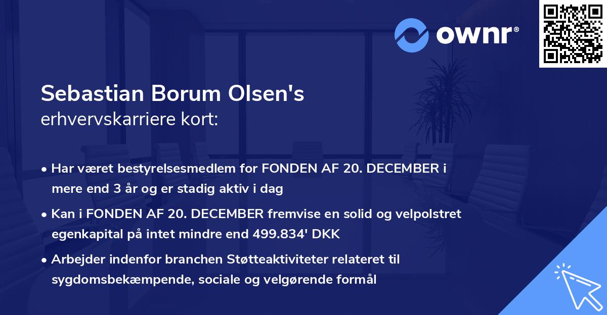 Sebastian Borum Olsen's erhvervskarriere kort