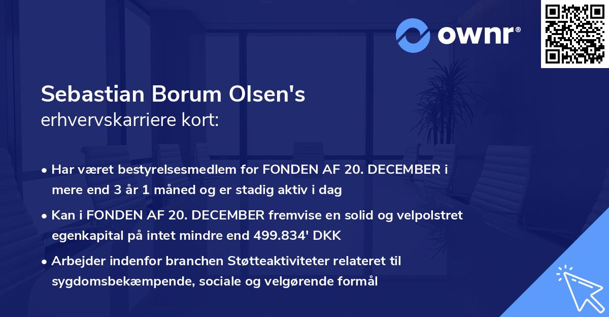 Sebastian Borum Olsen's erhvervskarriere kort