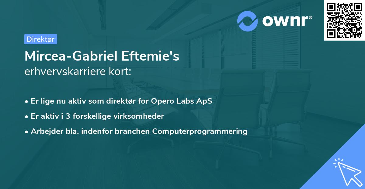 Mircea-Gabriel Eftemie's erhvervskarriere kort