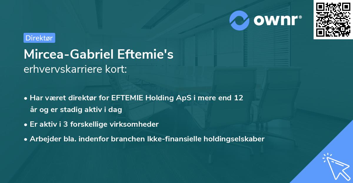 Mircea-Gabriel Eftemie's erhvervskarriere kort