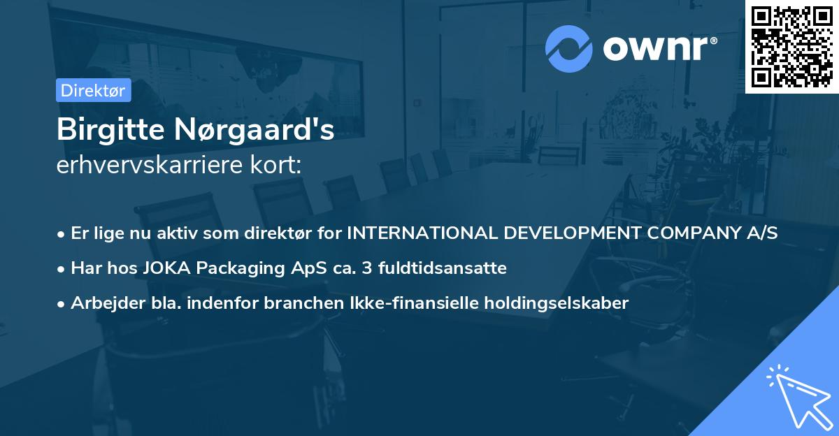 Birgitte Nørgaard's erhvervskarriere kort