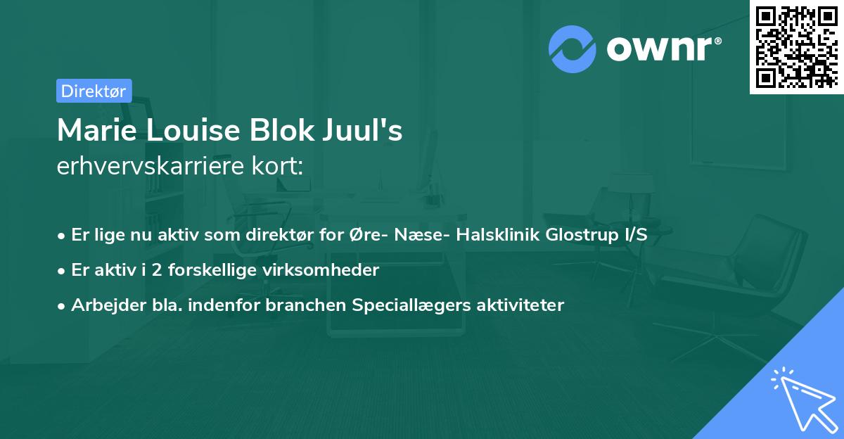 Marie Louise Blok Juul's erhvervskarriere kort