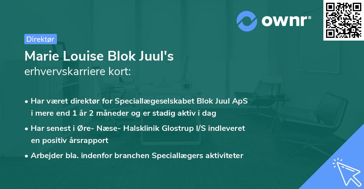 Marie Louise Blok Juul's erhvervskarriere kort