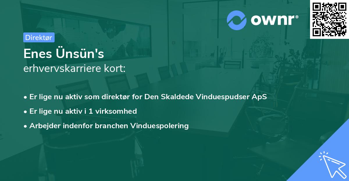 Enes Ünsün's erhvervskarriere kort