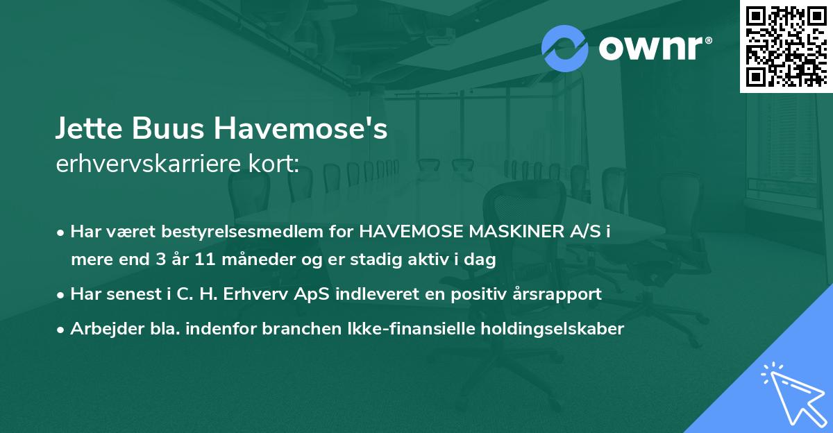 Jette Buus Havemose's erhvervskarriere kort