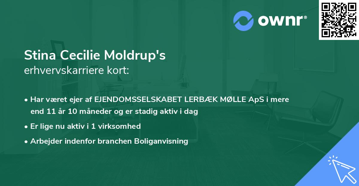Stina Cecilie Moldrup's erhvervskarriere kort