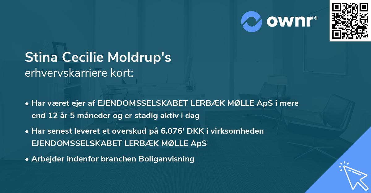 Stina Cecilie Moldrup's erhvervskarriere kort