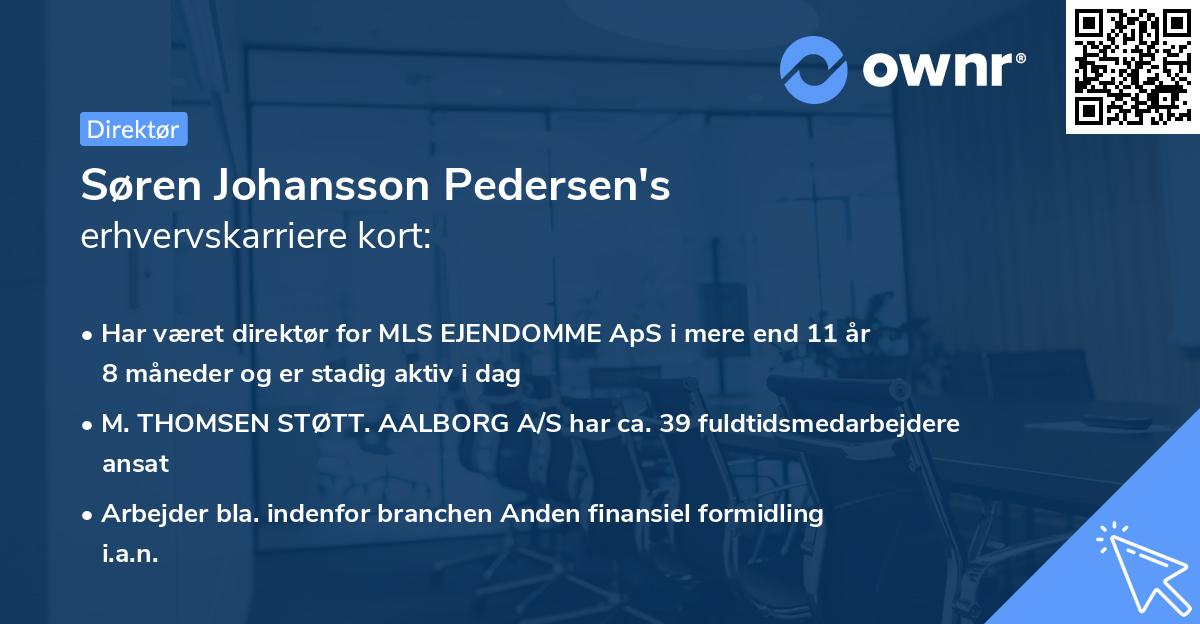 Søren Johansson Pedersen's erhvervskarriere kort