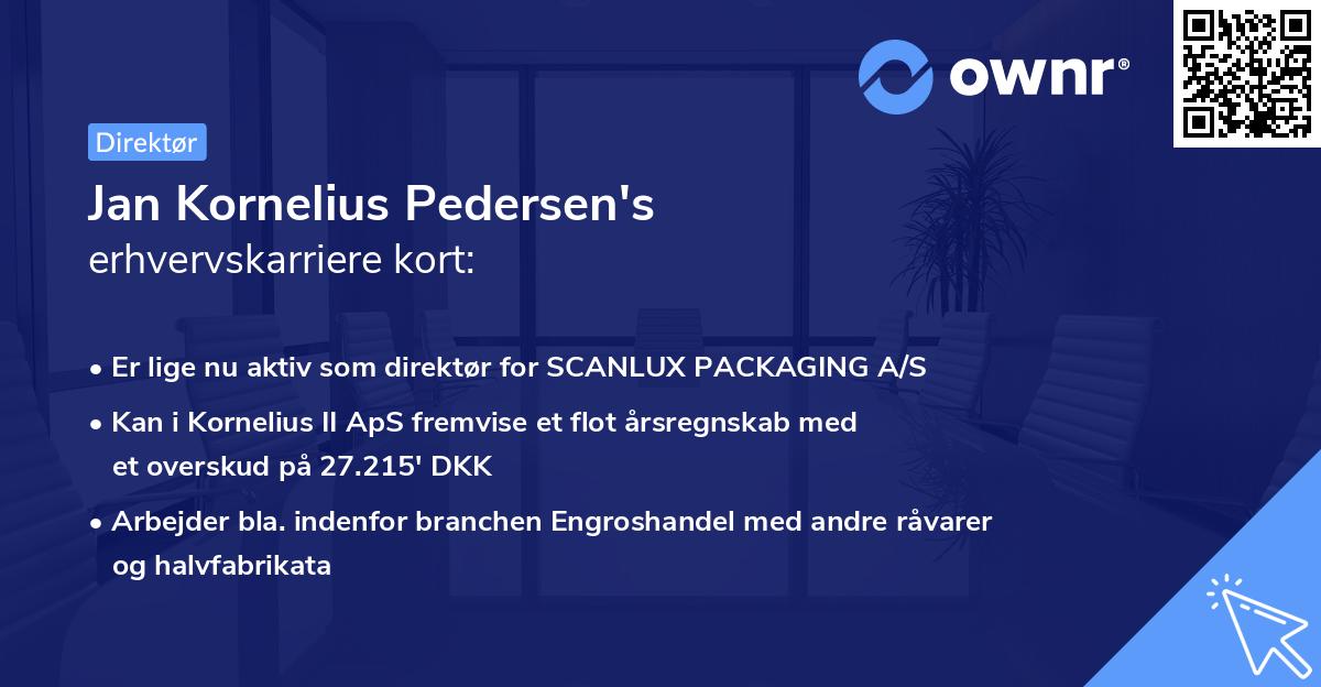 Jan Kornelius Pedersen's erhvervskarriere kort