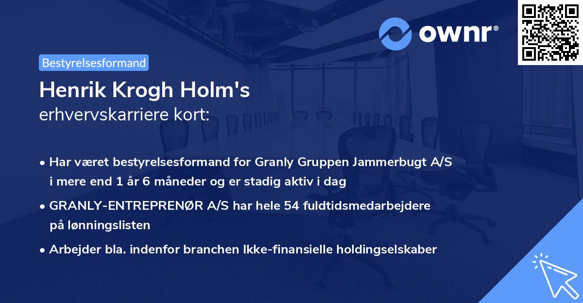 Henrik Krogh Holm's erhvervskarriere kort