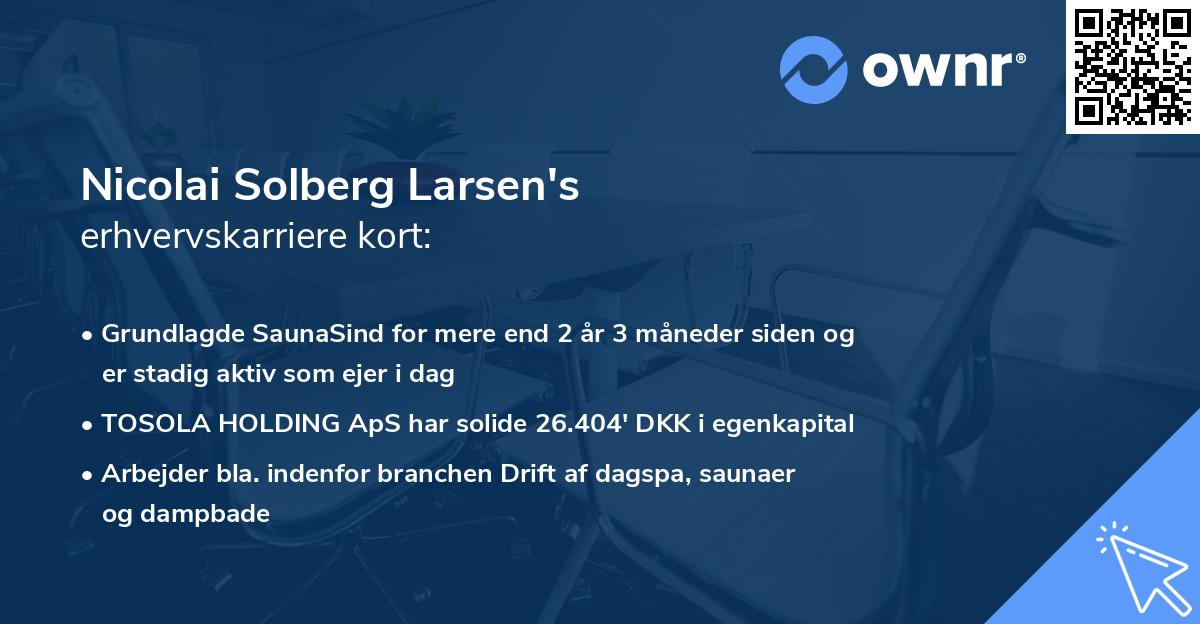 Nicolai Solberg Larsen's erhvervskarriere kort
