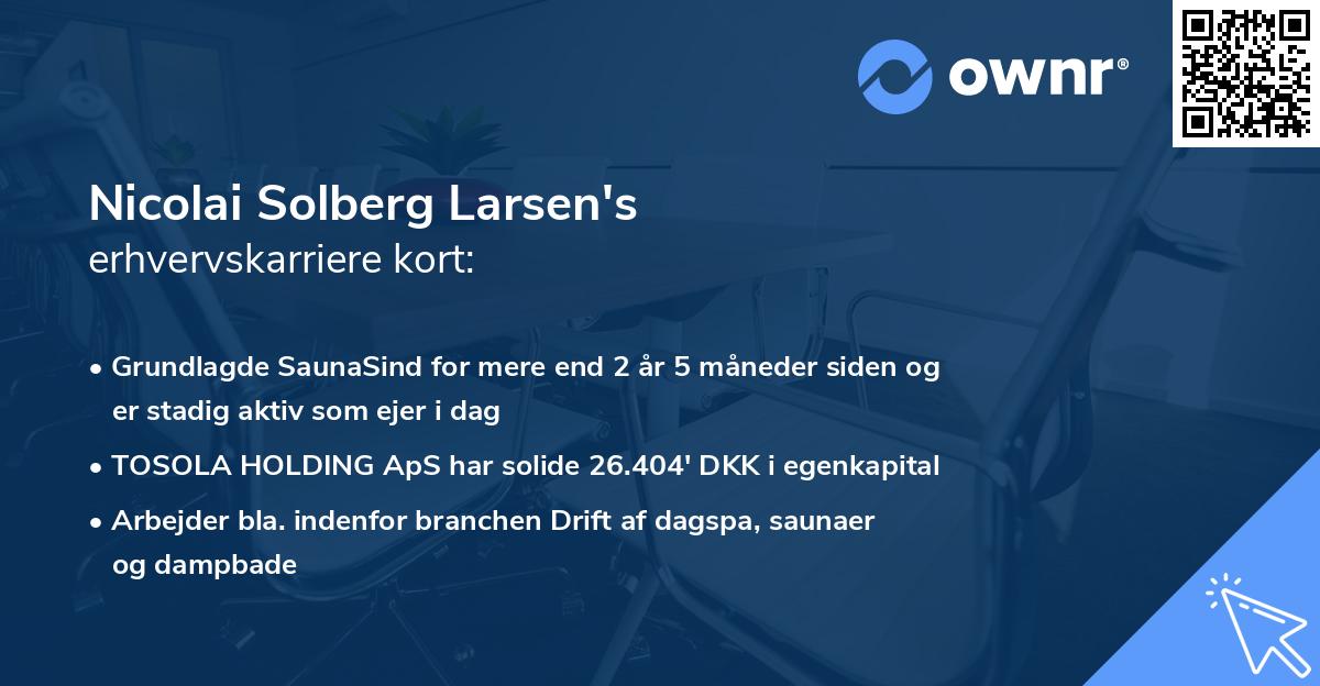 Nicolai Solberg Larsen's erhvervskarriere kort