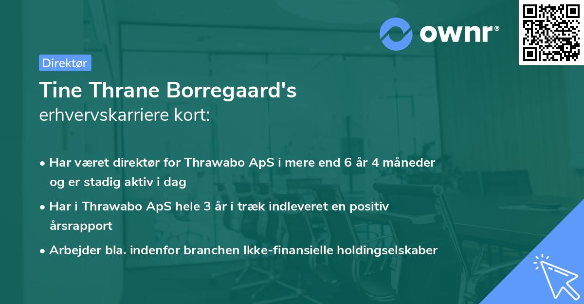 Tine Thrane Borregaard's erhvervskarriere kort