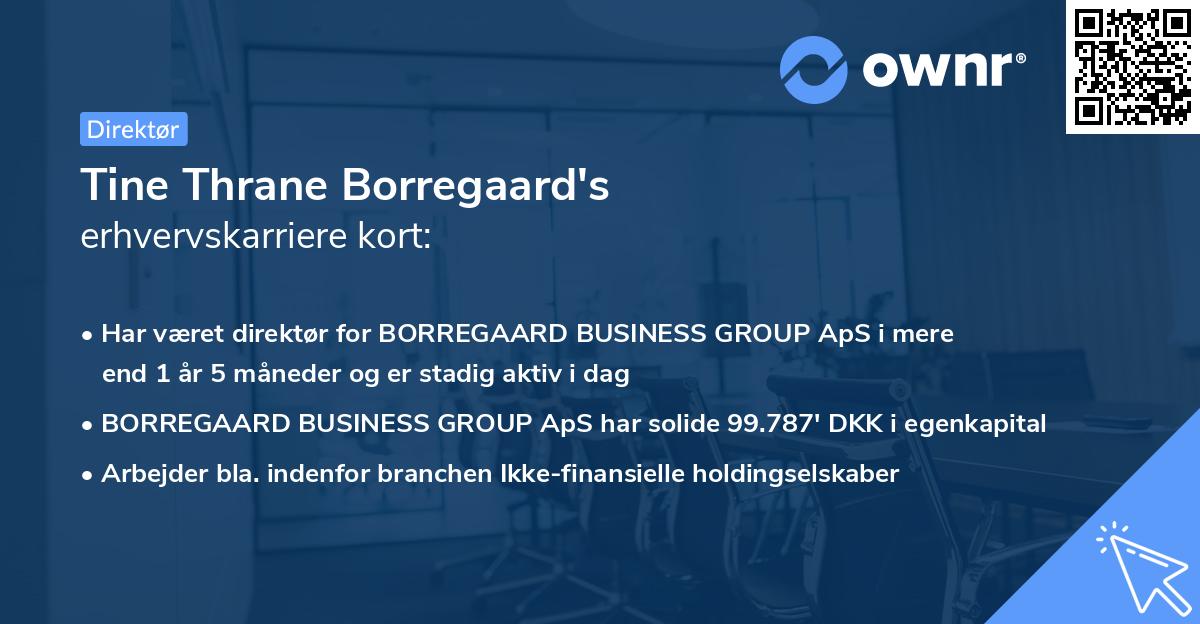 Tine Thrane Borregaard's erhvervskarriere kort