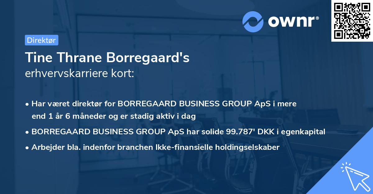 Tine Thrane Borregaard's erhvervskarriere kort